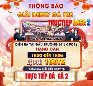 [THÔNG BÁO] Giải DERBY 4 Con Gà Tre Tại CPC1 Ngày 24/3/2024