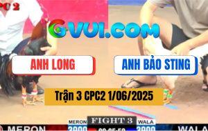 Trận 3 CPC2 1/6/2025 - Mẻ Bướm Anh Bảo Sting Đá Điều Anh Long Bung Bồ