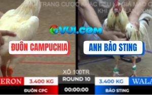 Trận 10 Bồ TonHon 10/10/2025 - Anh Bảo Sting Liên Tiếp Hạ Anh Đuôn CPC