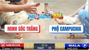 Trận 9 Ton Hon 26/12/2025 - Bướm Hiệu Anh Minh 3 Sút Đối Thủ Kêu Miệng