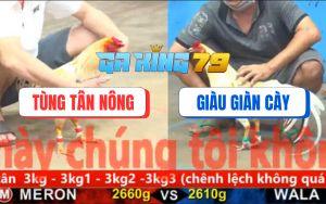 Trận 13 CPC5 6/12/2025 - Bướm Xanh Trước Khi Chết Có Chân Tử Thần