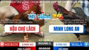 Trận 2 Ton Hon 10/12/2025 - Gà Xám Bú 3 Chân Điều Má Minh Tắt Thở