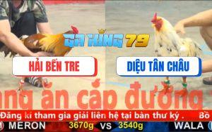 Trận 3 CPC5 6/12/2025 - Xám Đá Cây Chí Mạng Bướm Bay Bồ Lấy Tiền Chung