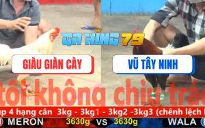 Trận 4 CPC5 6/12/2025 - Gà Bướm Anh Giàu Phản Ăn 1 Biện Lại Ra Đảo